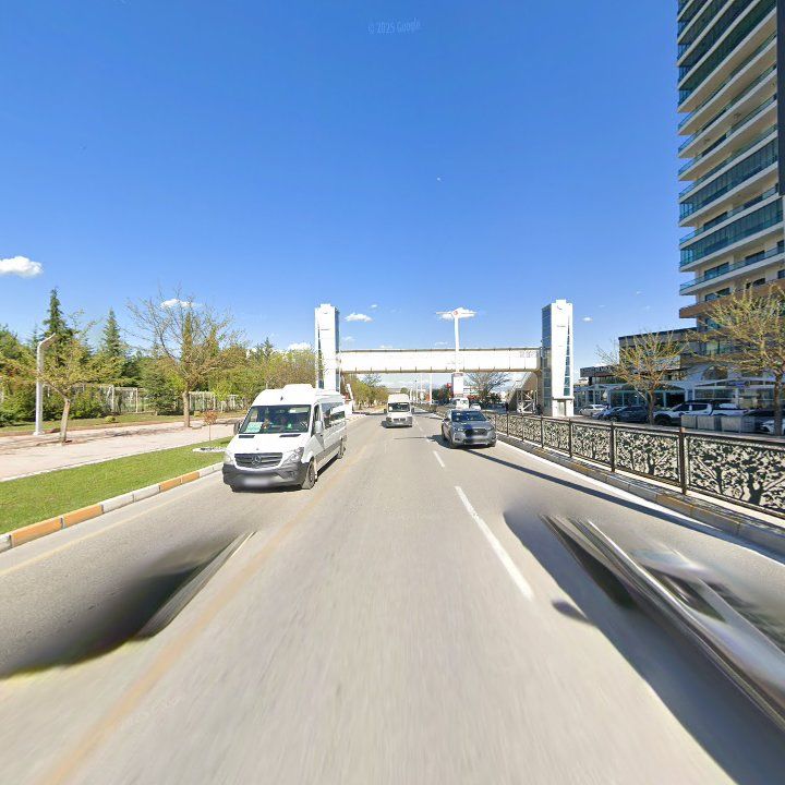 Fotoğraf 12