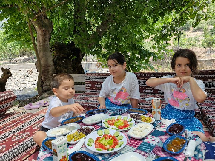 Çınaraltı Çay Bahçesi