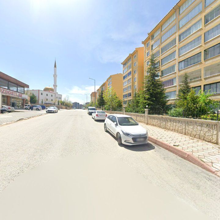 Fotoğraf 9