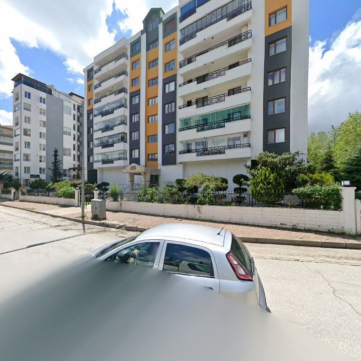 Fotoğraf 9