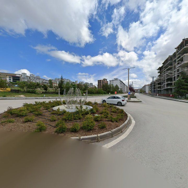 Fotoğraf 6