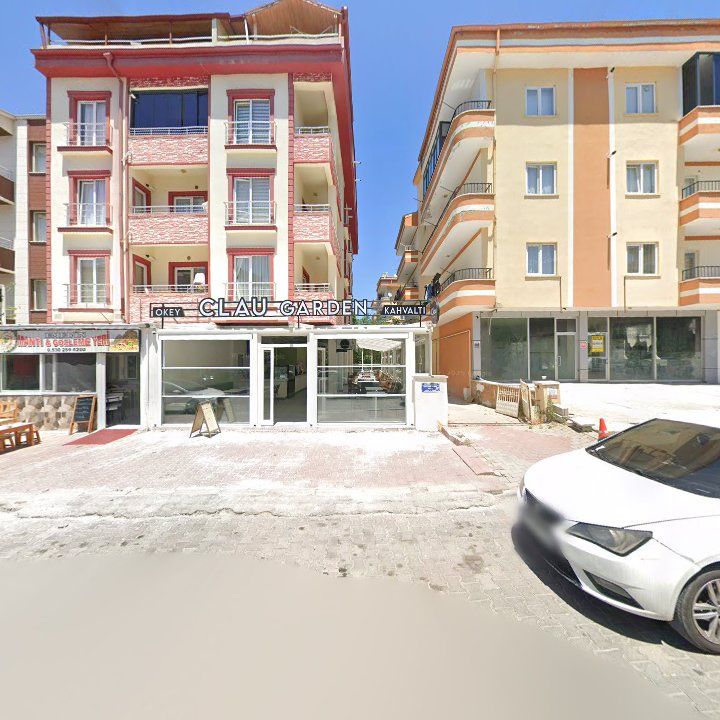 Fotoğraf 12