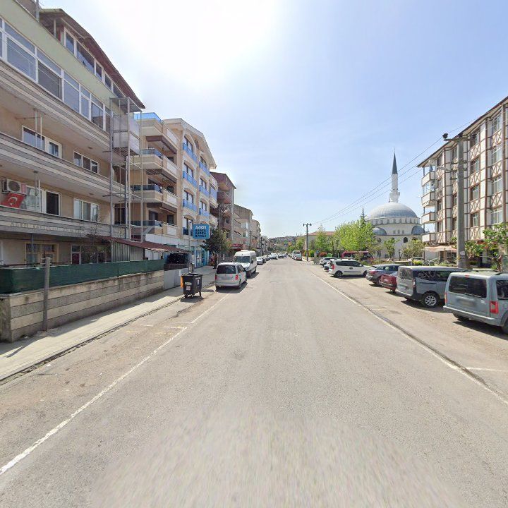 Fotoğraf 6