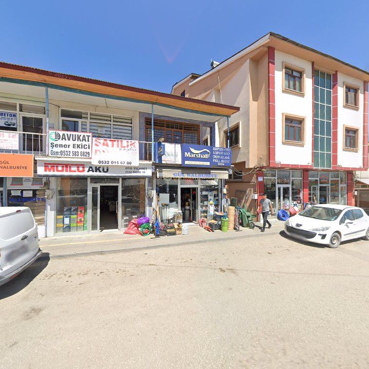 Fotoğraf 3
