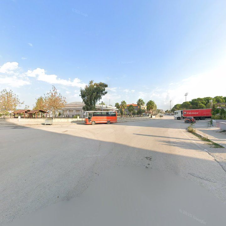 Fotoğraf 6