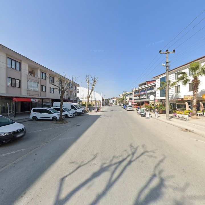 Fotoğraf 8