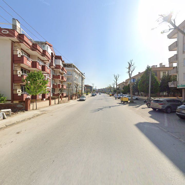 Fotoğraf 6