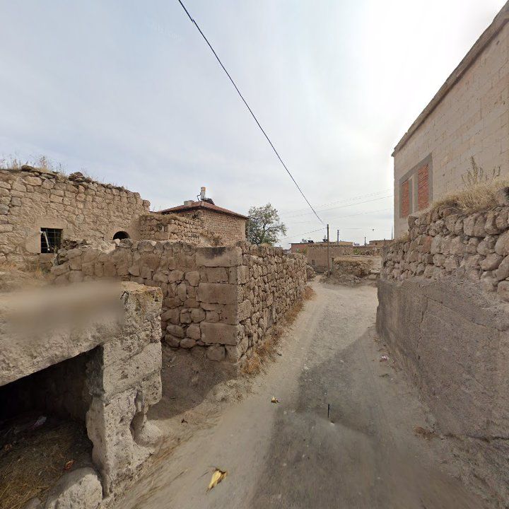 Fotoğraf 11