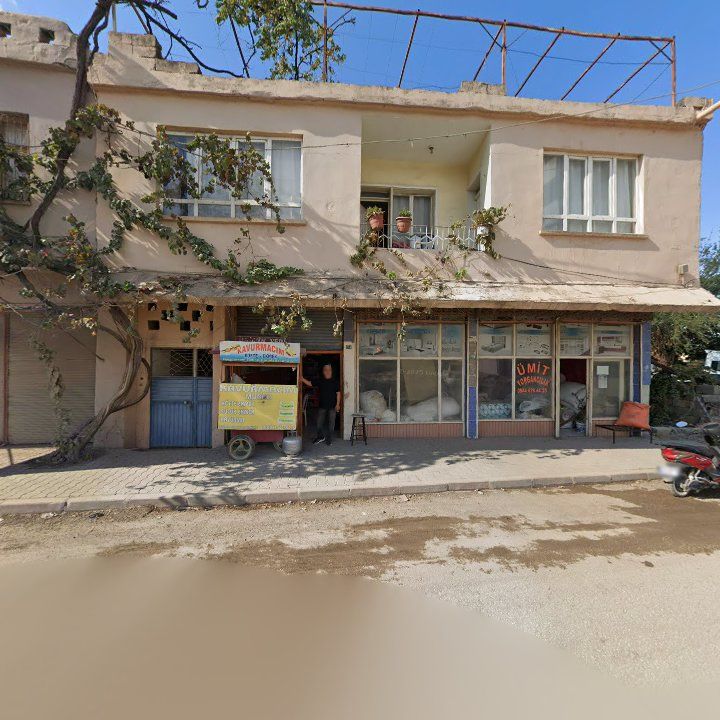 Fotoğraf 3