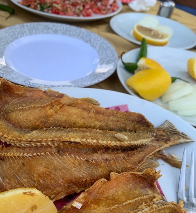 Doğan Balık Evi
