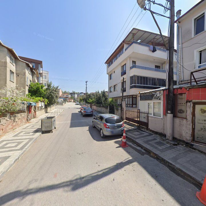 Fotoğraf 8