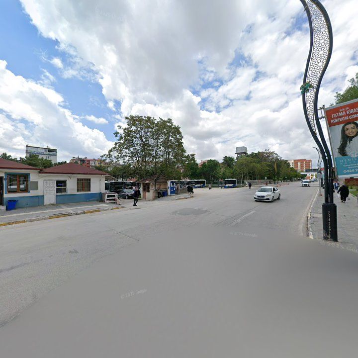 Fotoğraf 8