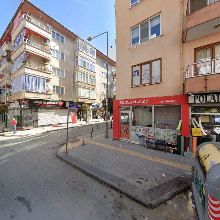 Fotoğraf 11