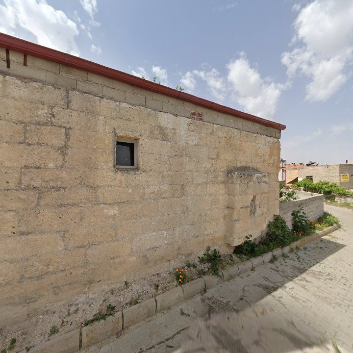 Fotoğraf 13