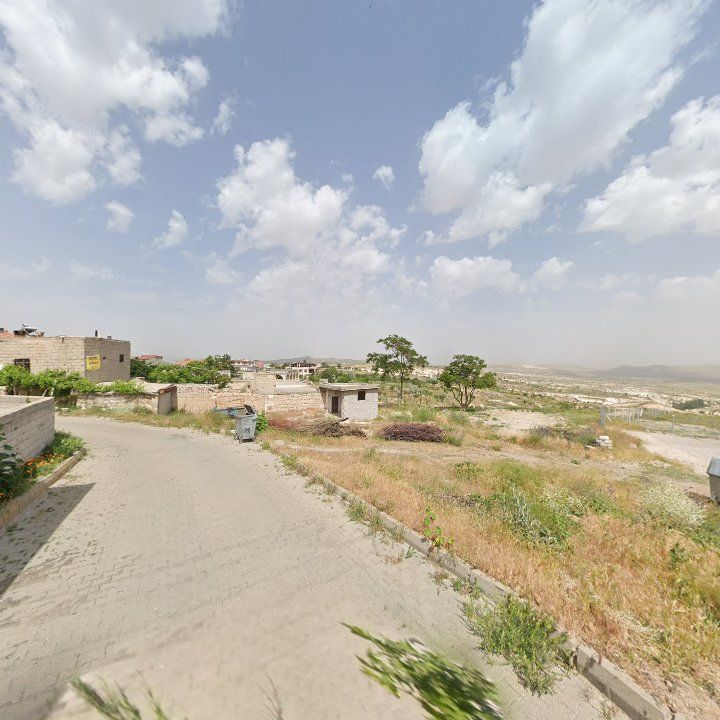 Fotoğraf 14