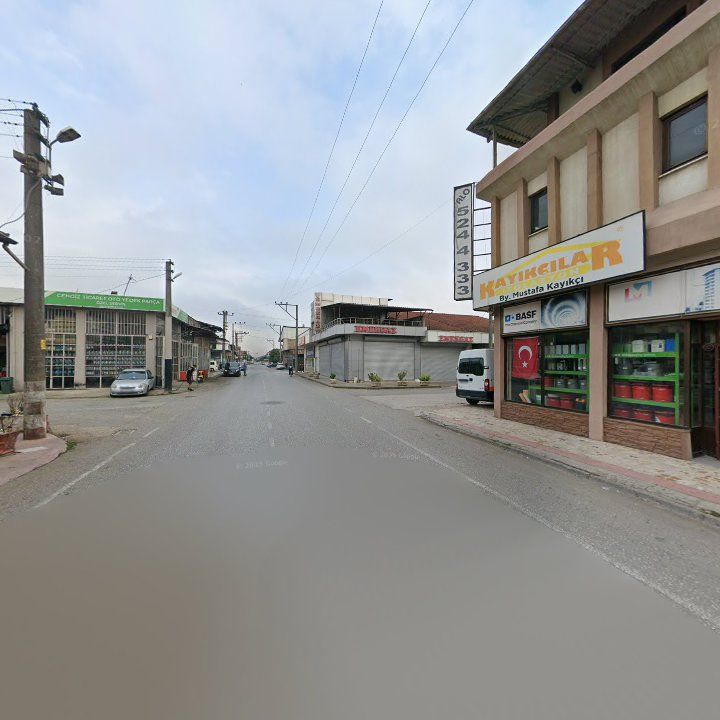 Fotoğraf 7