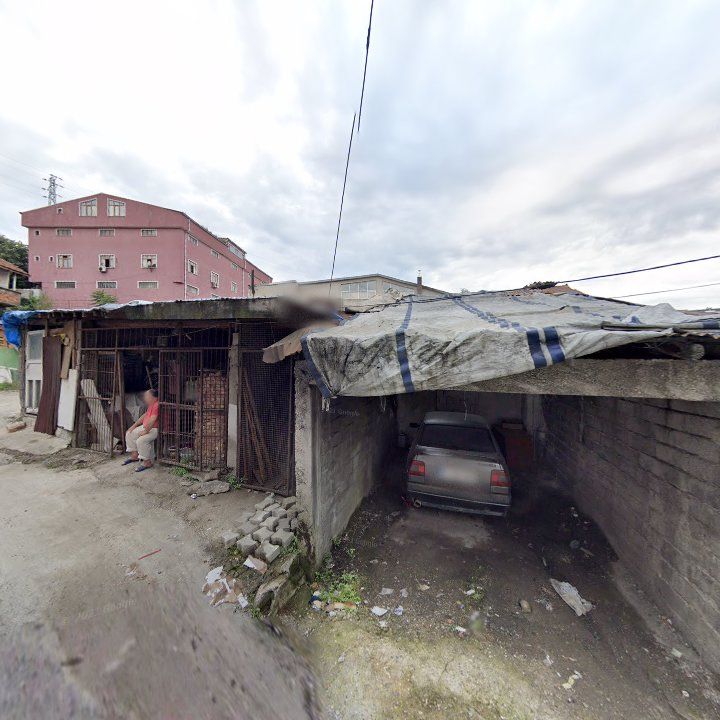 Fotoğraf 3
