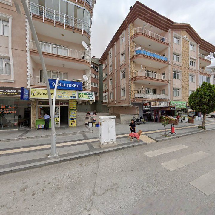 Fotoğraf 3