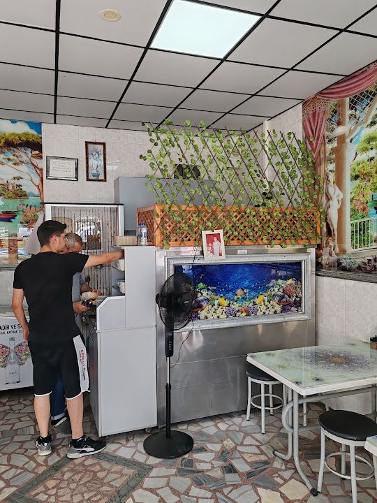 Fotoğraf 4