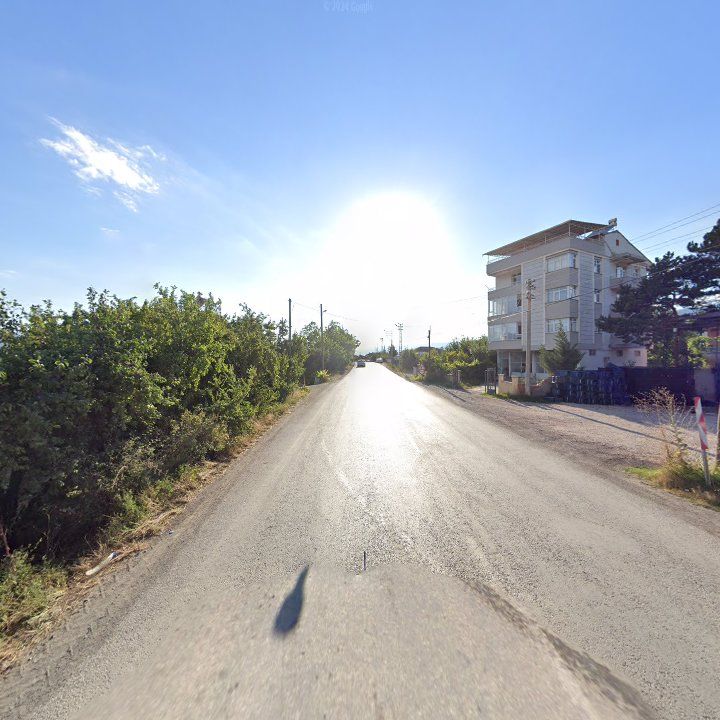 Fotoğraf 5