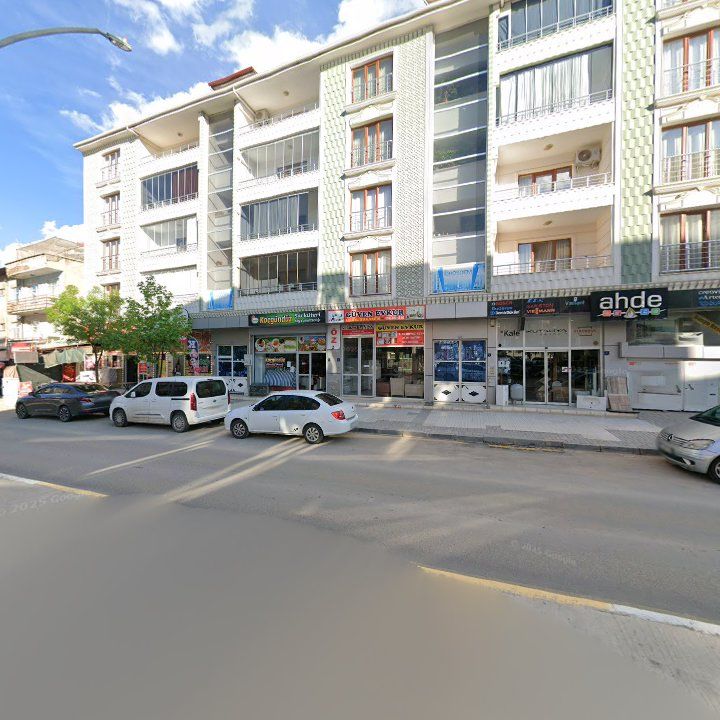 Fotoğraf 6