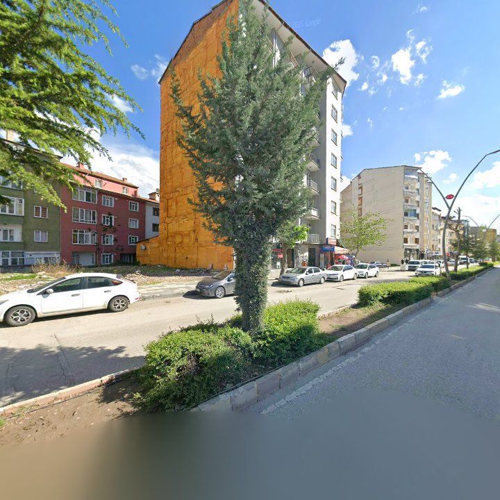 Fotoğraf 11