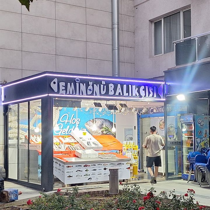 Eminönü Balıkçısı