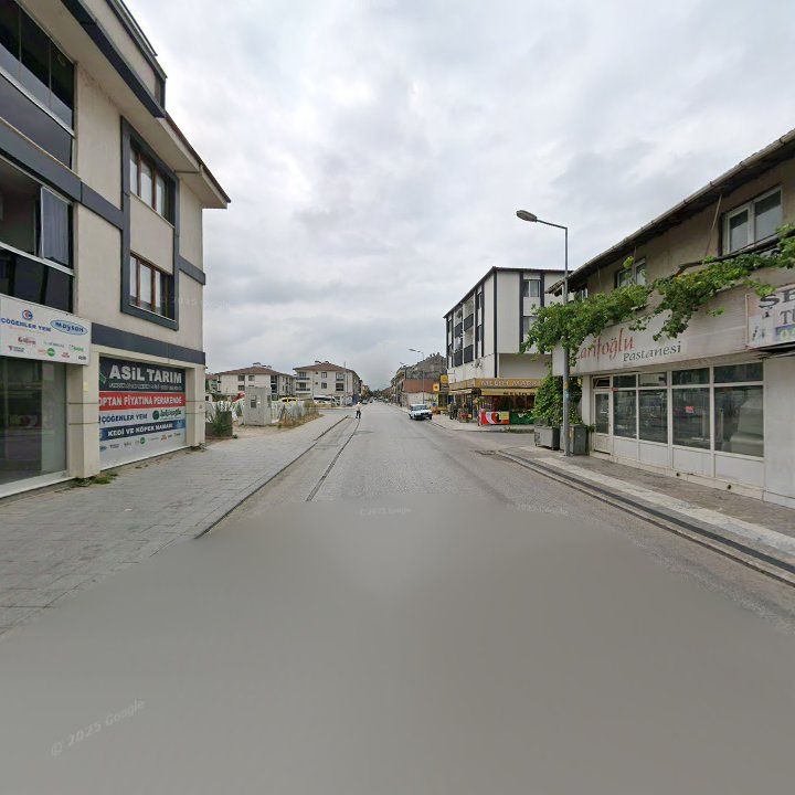 Fotoğraf 10