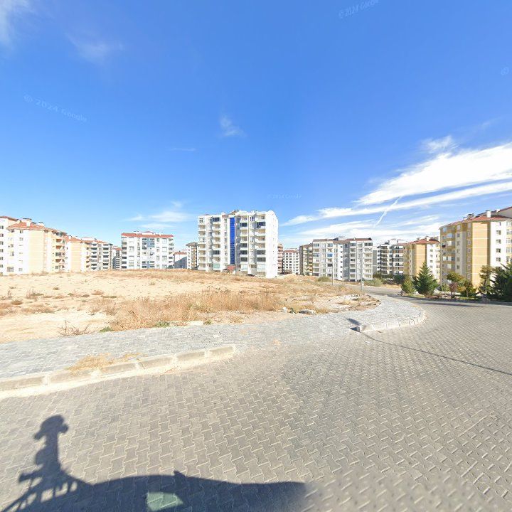 Fotoğraf 9