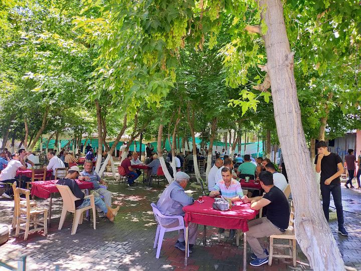 Erenler Çay Bahçesi