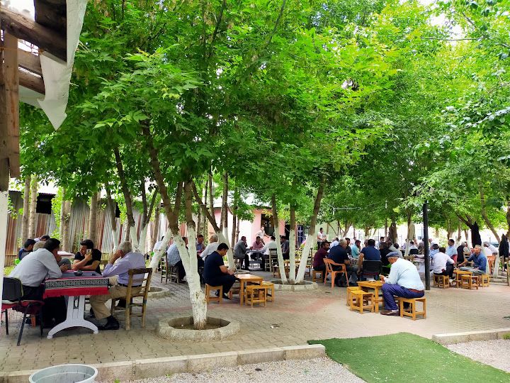 Fotoğraf 5