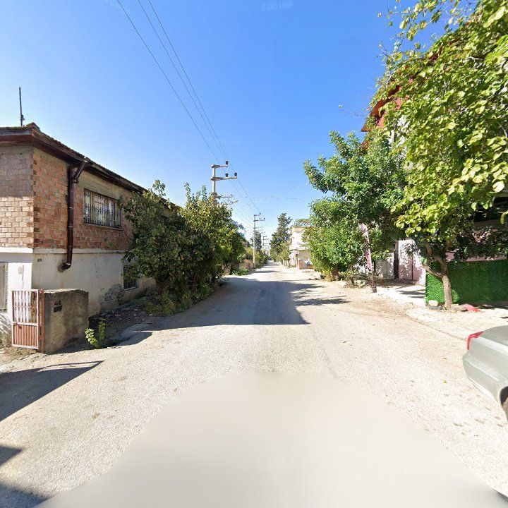 Fotoğraf 3