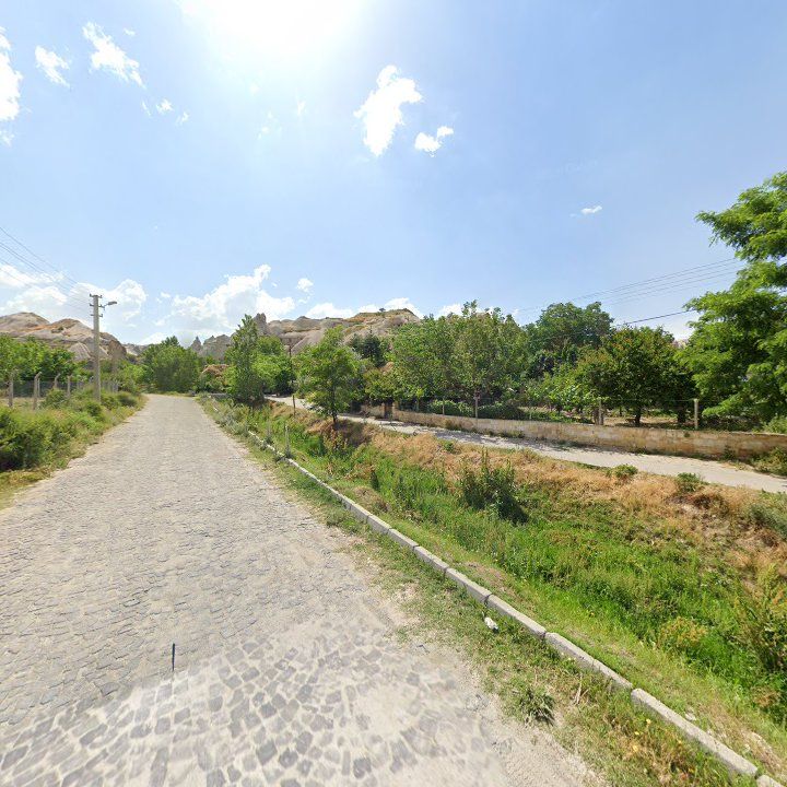 Fotoğraf 9