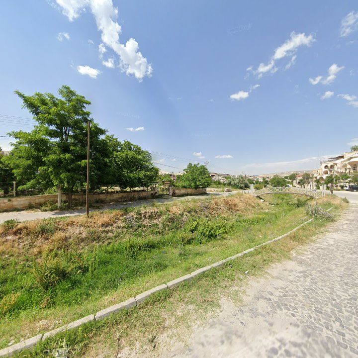 Fotoğraf 10