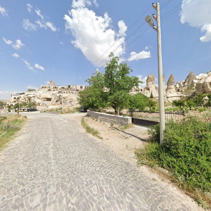 Fotoğraf 11