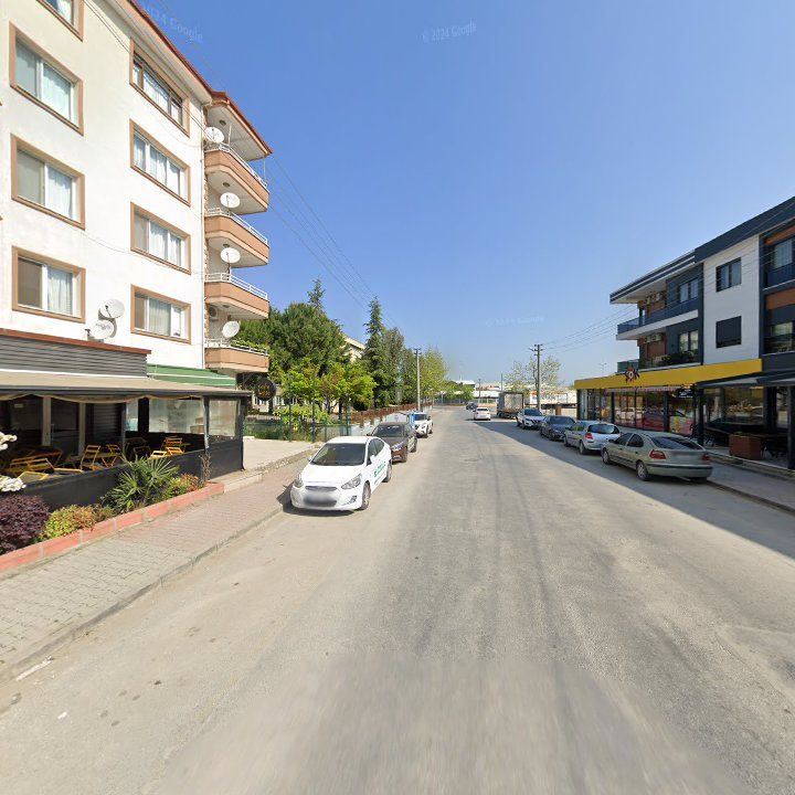 Fotoğraf 10