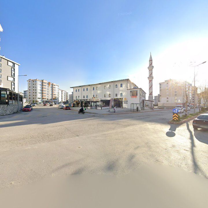 Fotoğraf 3