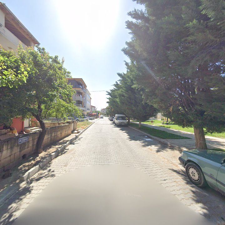 Fotoğraf 7