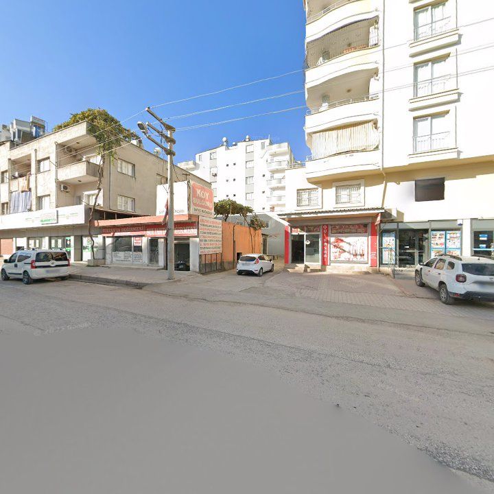 Fotoğraf 7