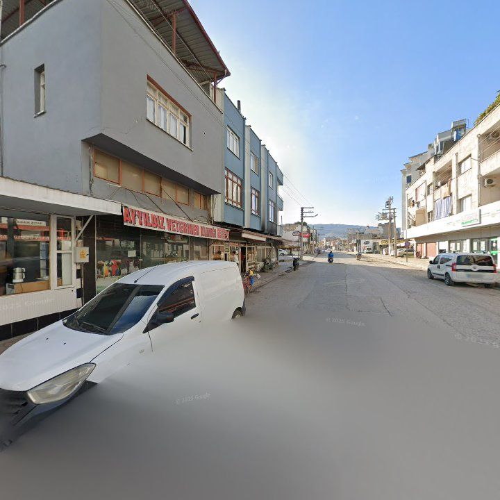 Fotoğraf 6