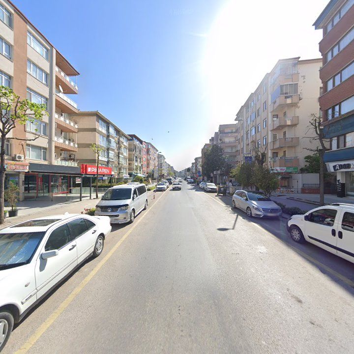 Fotoğraf 7