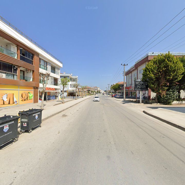 Fotoğraf 11