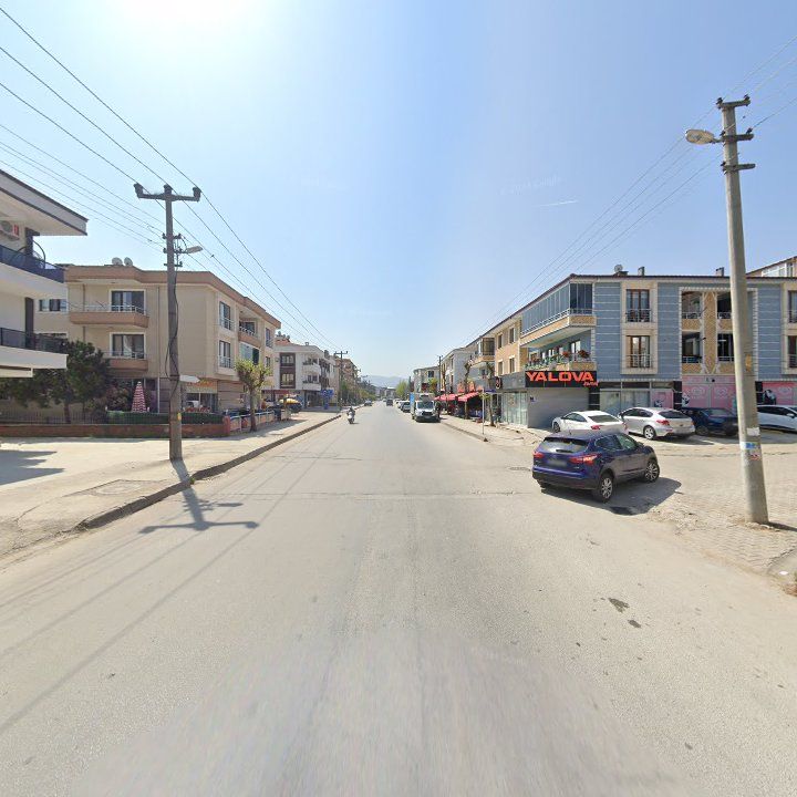 Fotoğraf 9