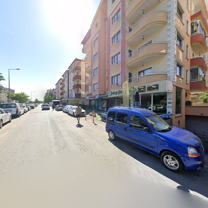 Fotoğraf 11