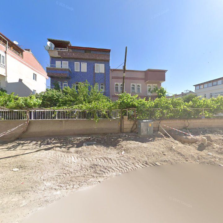 Fotoğraf 10