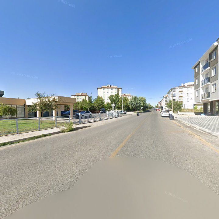 Fotoğraf 7