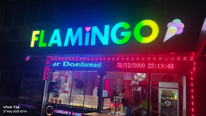 Flamingo Dondurma