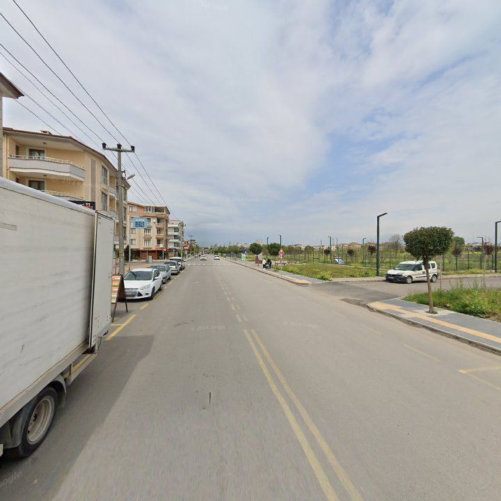 Fotoğraf 9