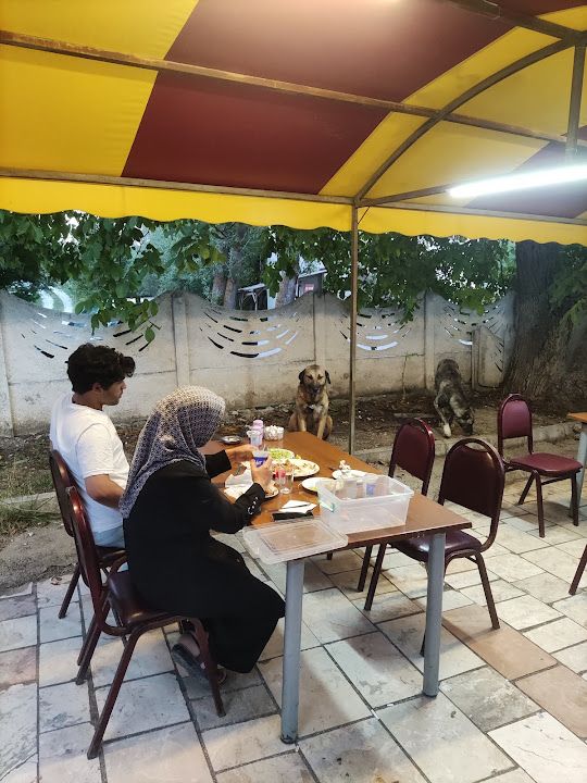 Fotoğraf 4