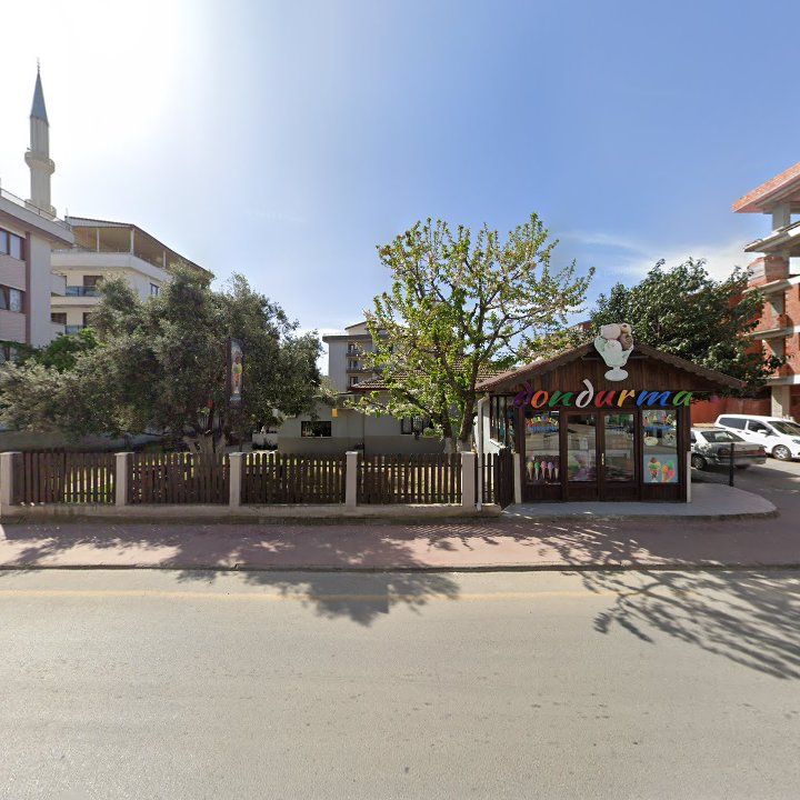 Fotoğraf 11